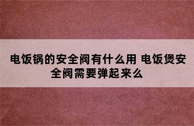 电饭锅的安全阀有什么用 电饭煲安全阀需要弹起来么